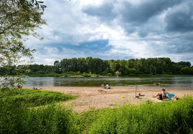 Activiteiten en diensten